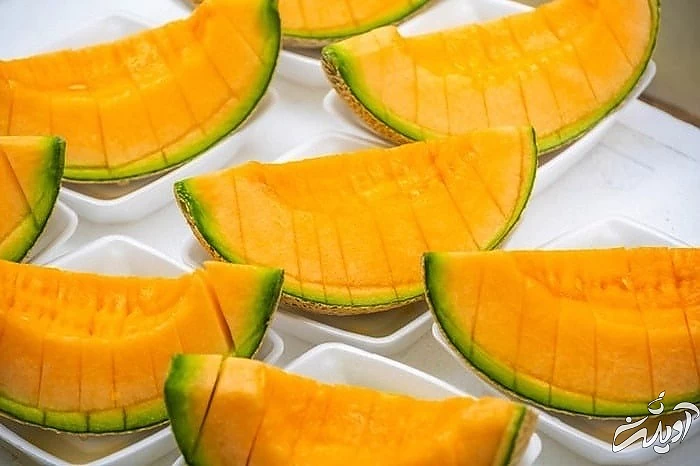 طالبی یوباری